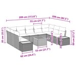 vidaXL Ensemble de 10 pièces de canapés de jardin avec coussins noirs en poly rotin acacia