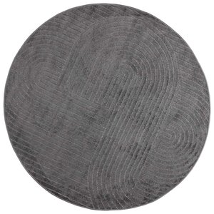 vidaXL Tapis de surface Rond HUARTE Anthracite Ø 120 CM Polyester