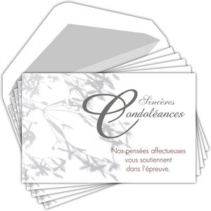 Lot 5 cartes remerciements condoléances +5 enveloppes blanches format 9x14cm