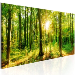 Tableau - green magic l x h en cm 135x45
