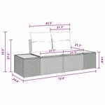 vidaXL Ensemble de canapé de jardin 11 Pièces Noir Poly rotin