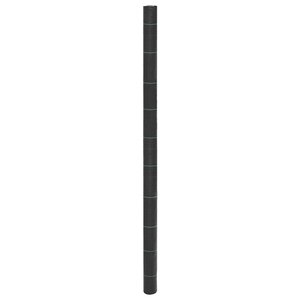 vidaXL Membrane anti-mauvaises herbes noir 2x100 m PP
