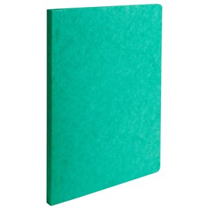 Chemise A Dos Rainé Carte Lustrée 400gm2 - 24x32cm - Vert - X 50 - Exacompta