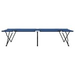 vidaXL Lits de soleil pliants avec sacs de transport 2 Pièces Bleu Tissu Oxford 600D