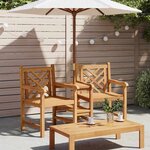 vidaXL Chaises de Jardin Marron 152 x 63 x 89 cm Bois de teck solide