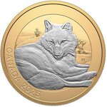 Pièce de monnaie en Argent 20 Dollars g 31.39 Millésime 2025 Animal Portraits GREY WOLF
