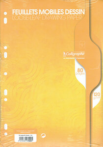 Feuillets mobiles dessin 21x29 7cm 80p uni 120g CALLIGRAPHE