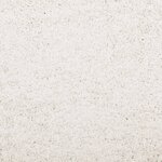 vidaXL Tapis shaggy PAMPLONA poils longs moderne crème 100x200 cm