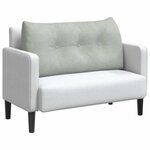 vidaXL Coussin de Dos Gris clair 100 x 24 x 50 cm Velours