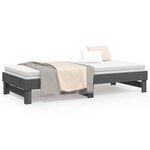 vidaXL Lit coulissant sans matelas gris 2x(80x200)cm