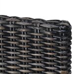 vidaXL Chaises à manger lot de 2 noir rotin kubu et bois d'acajou