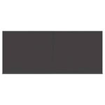 vidaXL Auvent Rétractable Rayé Anthracite 300 x 200 cm tissu