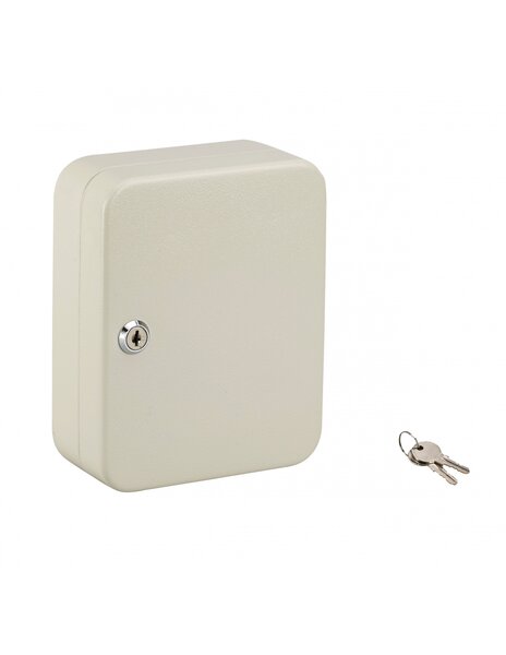THIRARD - Armoire à clé Kibox  serrure à cylindre  capacité de 20 clés - THIRARD