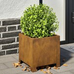 vidaXL Jardinières 2 Pièces 30x30x30 cm acier corten