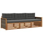 vidaXL Ensemble de canapés d'extérieur 3 pc Naturel et Anthracite