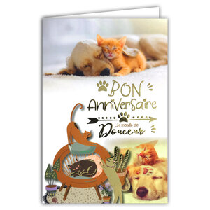 67-1274 Carte Bon ANNIVERSAIRE Chats Chien Amis Monde de Douceur Texte en Or Doré Brillant et Enveloppe 12x17 5cm Labrador Golden Retriever Animaux de compagnie Mignon Câlin Vintage Illustration
