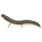 vidaXL Transat Gris foncé 188 x 55 x 59 cm Bois de teck solide