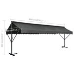 vidaXL Auvent sur pied 600 x 300 cm Anthracite