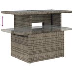 vidaXL Salon de jardin avec coussins 9 Pièces gris résine tressée acacia