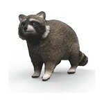 Schleich 14937 - Wild Life Raton laveur