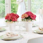 LECHUZA Jardinière MINI DELTINI ALL-IN-ONE Blanc