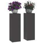 vidaXL Support de Plante 2 Pièces Noir 24 x 24 x 75 cm Acier