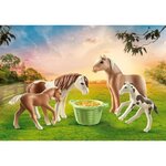 Playmobil - 71000 - 2 poneys islandais et poulains