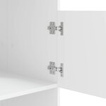 vidaXL Armoire à Laver Blanc 50 x 68 x 102 cm Bois d'ingénierie