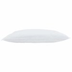 vidaXL Oreiller avec oreiller 2 Pièces Blanc 40 x 80 cm Plume