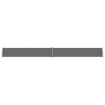 vidaXL Auvent latéral rétractable Anthracite 117x1200 cm