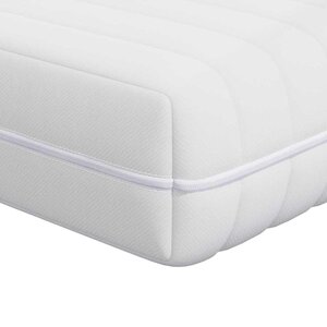vidaXL Matelas avec Couche de Coco Blanc 70 x 140 cm Ressort ensaché
