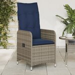 vidaXL Lot de 2 chaises de jardin inclinables avec coussins en résine tressée grise