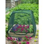 Nature Serre Pop up 100x100x100 cm 6020409