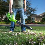 Greenworks souffleur / aspirateur sans batterie 40 v gd40bv 24227