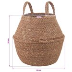 vidaXL Pot de plante avec poignées 2 Pièces Naturel Ø 22 x 20 cm