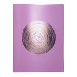 Protège-documents En Pp Recyclé Semi-rigide Ellipse 80 Vues - A4 - Couleurs Assorties - Exacompta