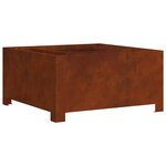 vidaXL Foyer de cheminée Marron 60 x 60 x 30 cm Acier patiné