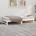 vidaXL Lit coulissant sans matelas blanc 2x(80x200)cm