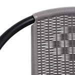 vidaXL Chaises de jardin lot de 2 Plastique Rotin et acier 110 kg