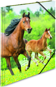 Chemise 3 rabats et élastique polypro pour A4 Motif Chevaux HERMA