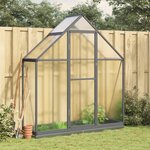 vidaXL Serre avec cadre de base anthracite 169x58x202 cm aluminium