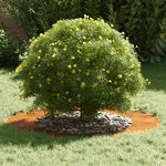 vidaXL adapté pour anneaux d'arbre plats 5 Pièces Marron Ø50 / 80 cm