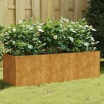 vidaXL Lit surélevé de jardin 120x40x40 cm acier corten