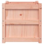 vidaXL Jardinières 2 Pièces bois massif douglas