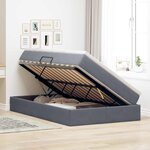 vidaXL Lit avec rangement et matelas Gris foncé 120 x 190 cm Velours