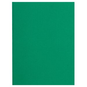Paquet De 100 Sous-chemises Flash 80 100  Recyclé - 22x31cm - Vert - X 10 - Exacompta