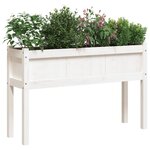 vidaXL Jardinières 2 Pièces avec pieds blanc bois de pin massif