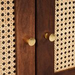 vidaXL Buffet Marron 60 x 33.5 x 75 cm Rotin et bois de mango massif