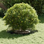 vidaXL adapté pour anneau d'arbre plat Vert olive Ø30 / 60 cm Acier