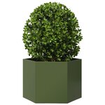 vidaXL Jardinière vert olive hexagone 69x60x45 cm acier